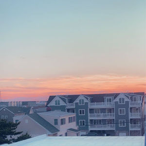 Meet your Posher, Rosa